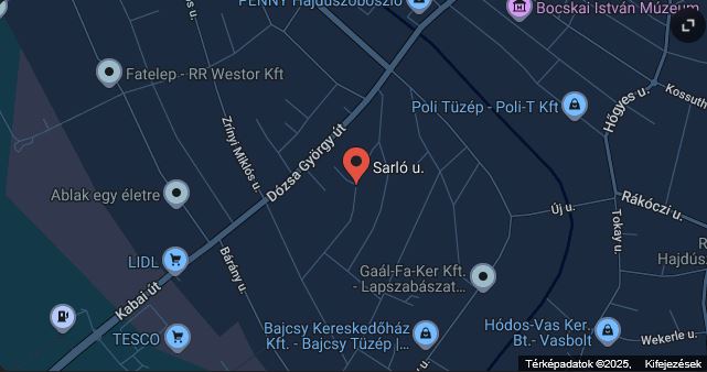 google map google map